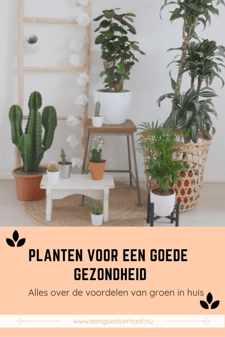 planten voor je gezondheid