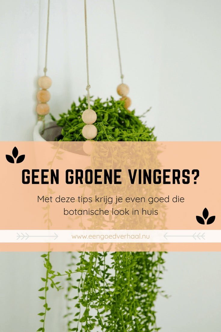 planten in huis zonder groene vingers