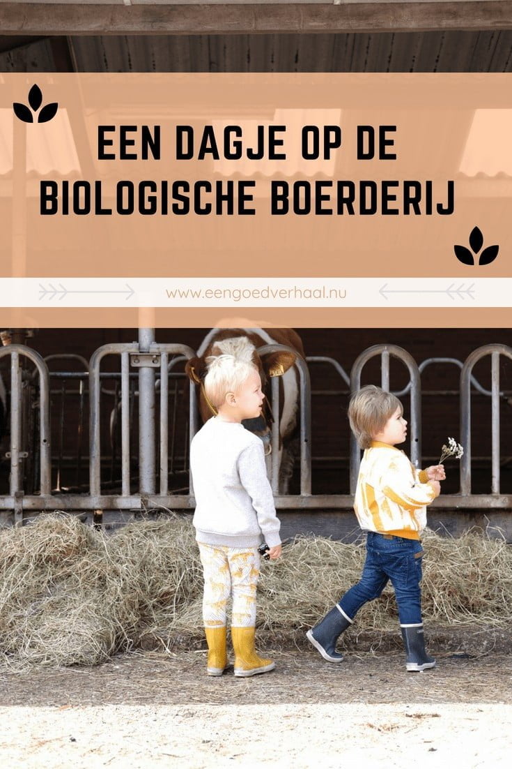 dagje op de biologische boerderij
