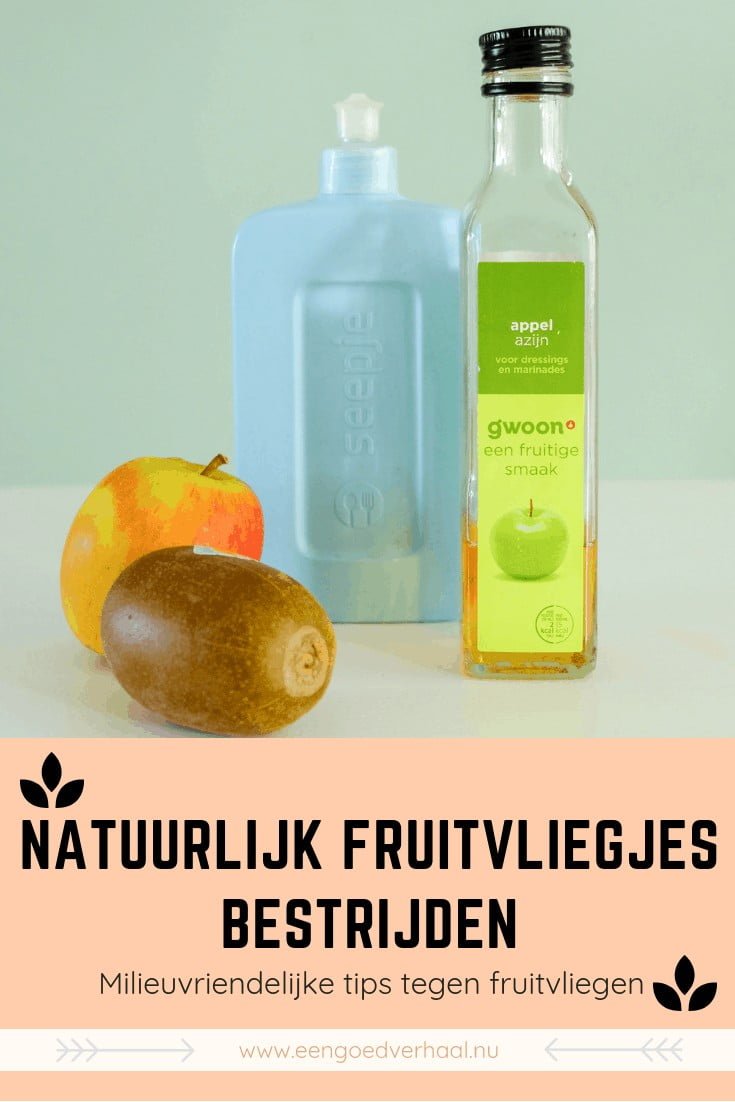 natuurlijke fruitvliegjes val maken
