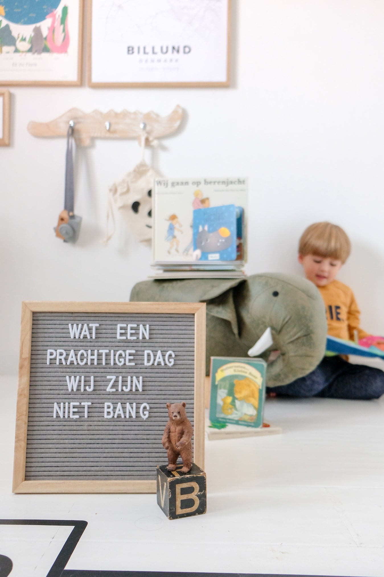 nederlandse tekst kinderboek