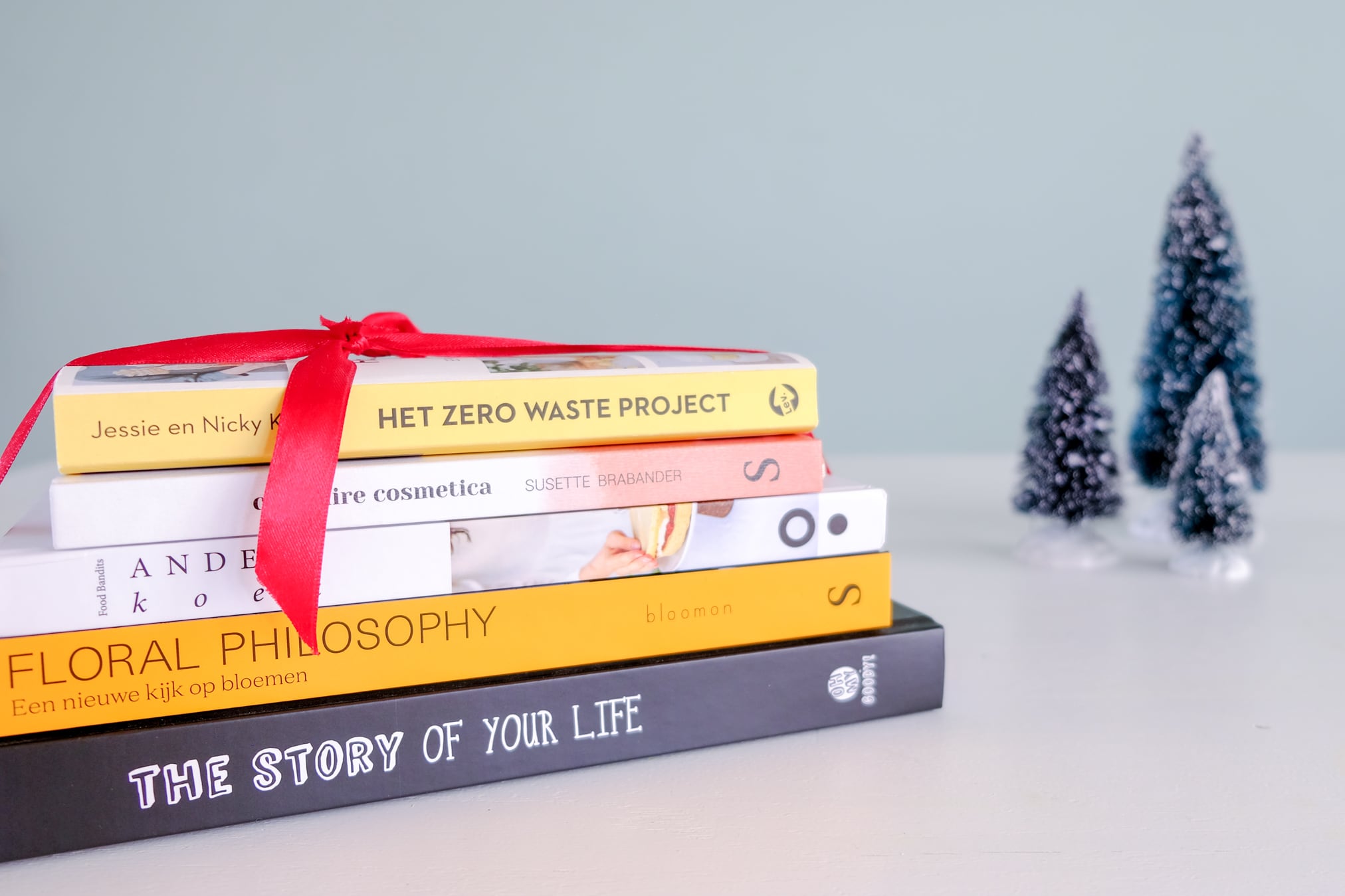 boeken als kerstcadeau
