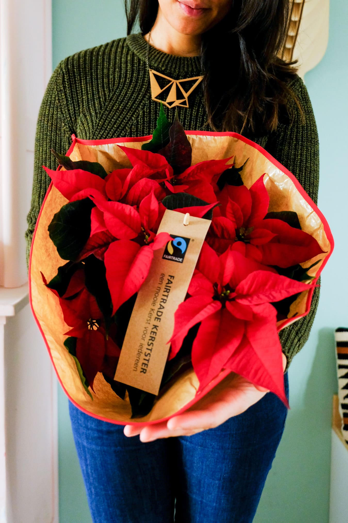 fair trade kerststerren plus supermarkten