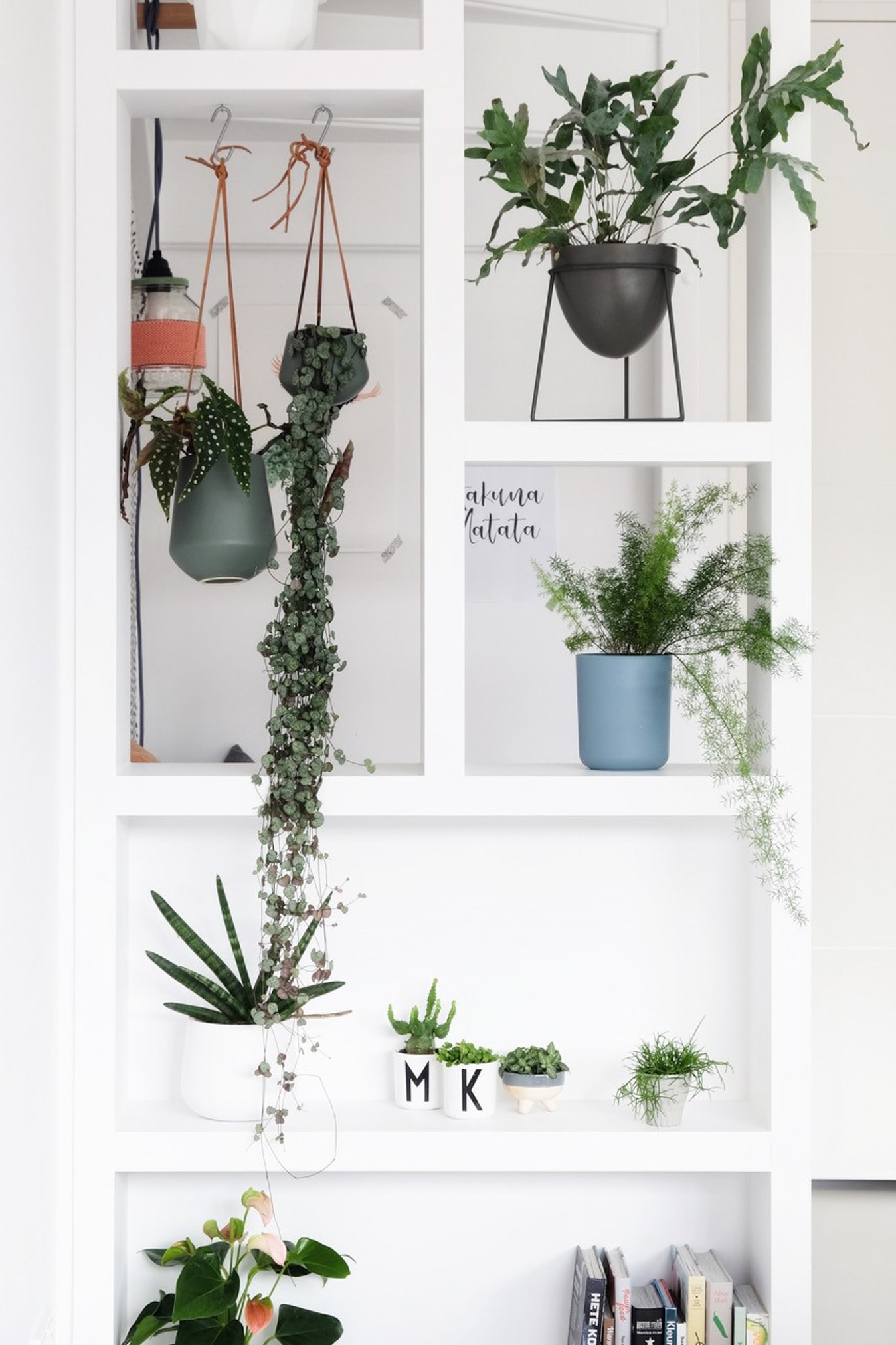roomdivider vakken met planten