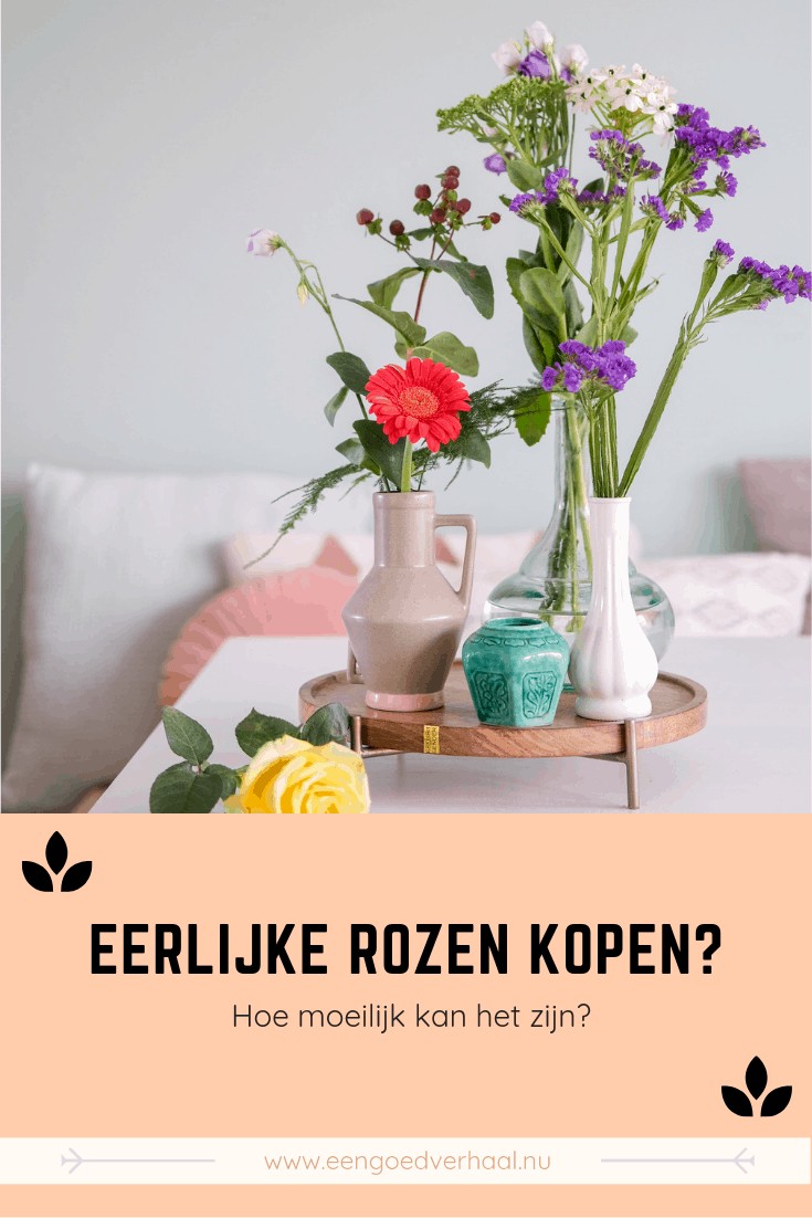 waar kun je eerlijke rozen kopen?