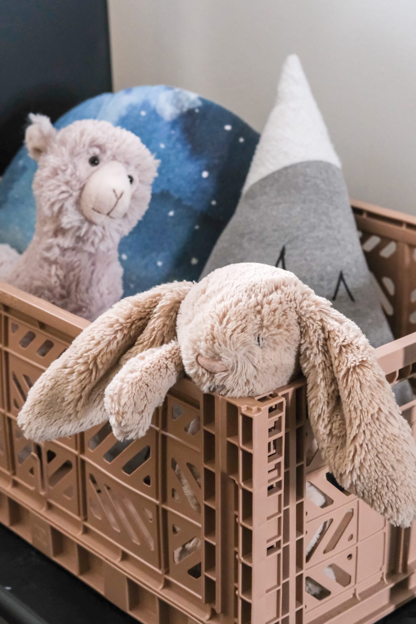 kratje met knuffels