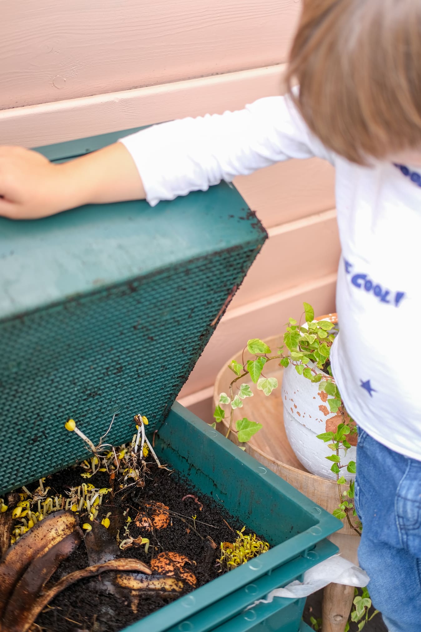 wat mag er in een wormenhotel