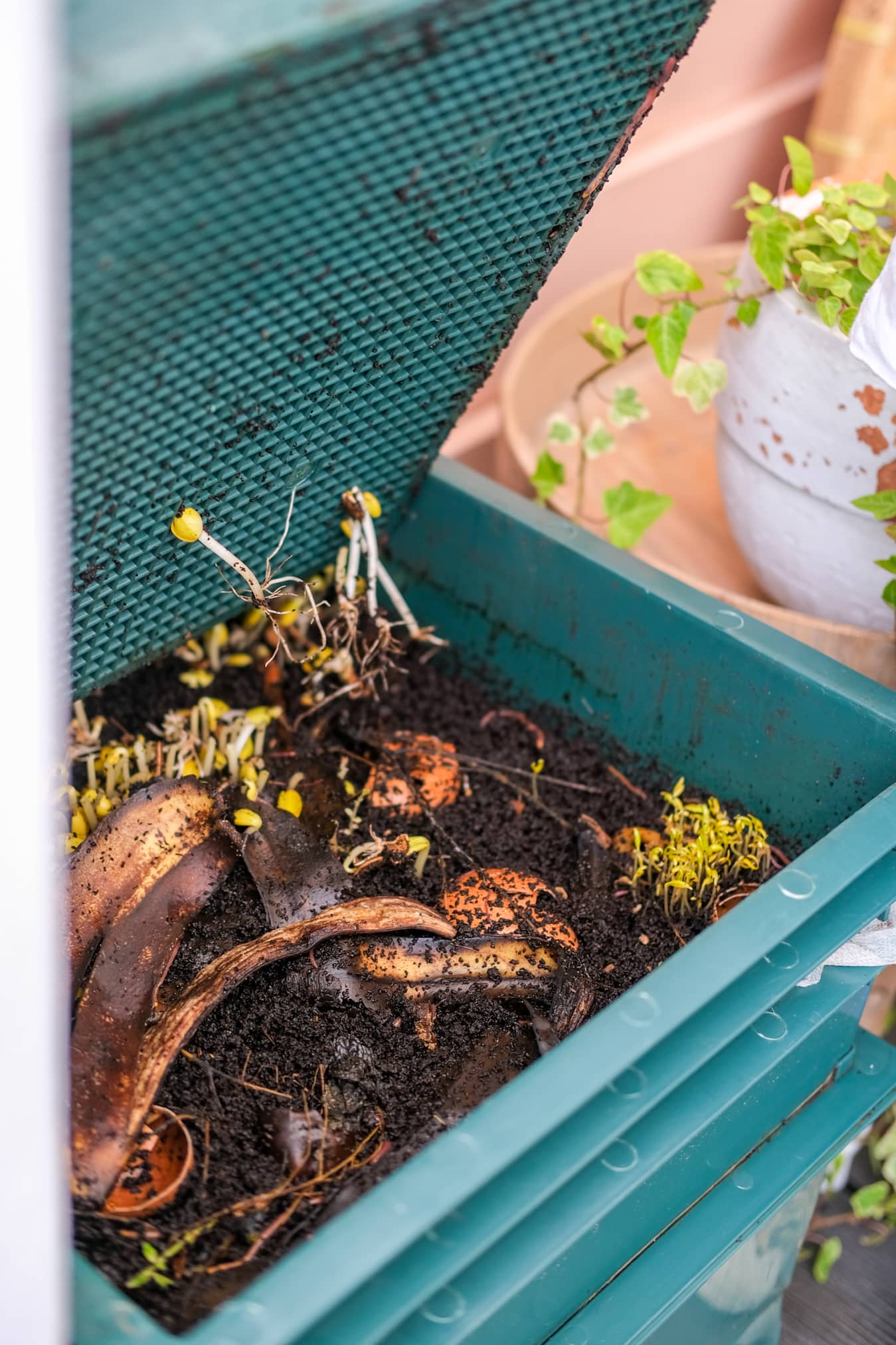 wormenbak online bestellen