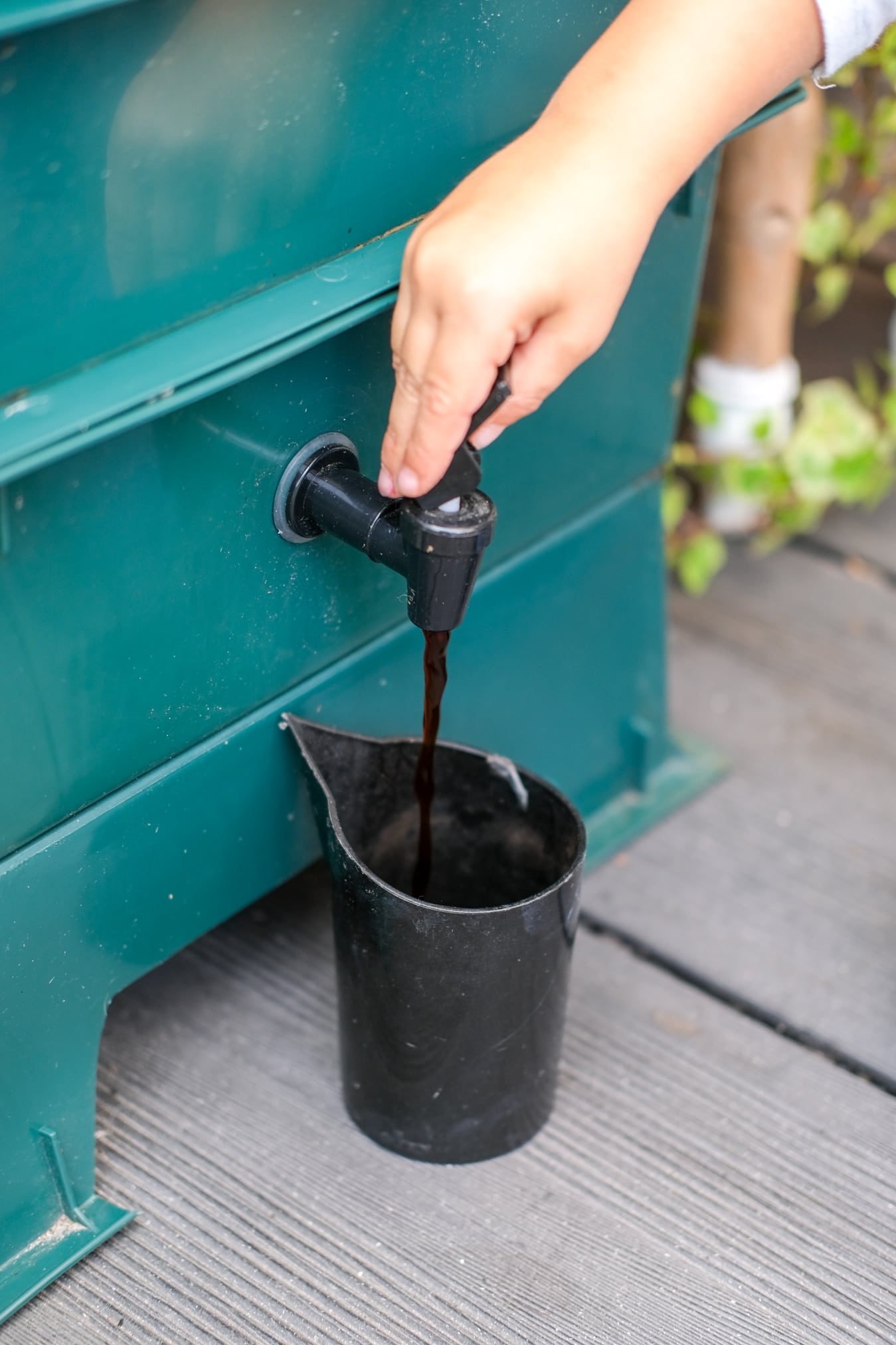 wormensap of wormenthee