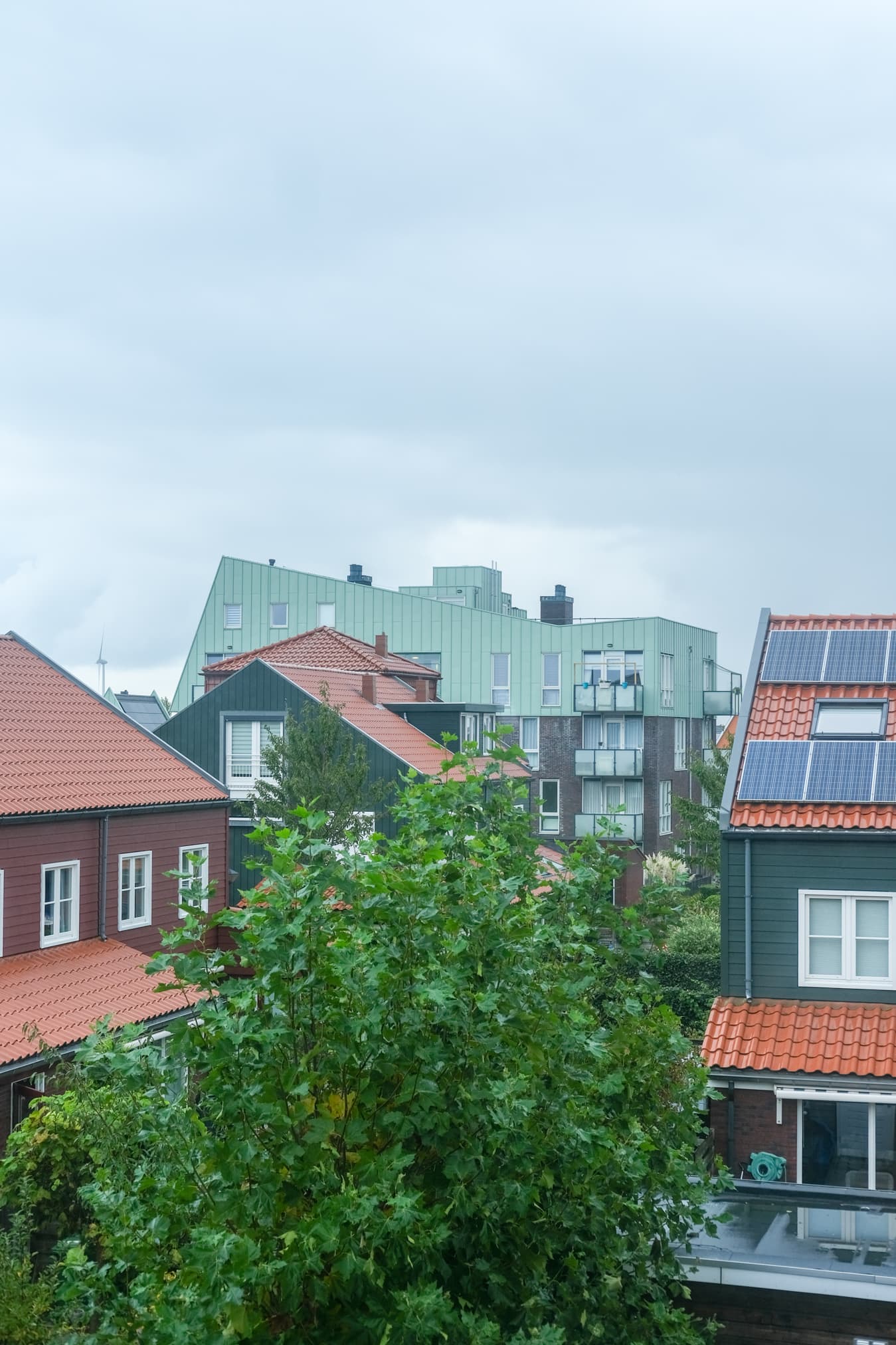 zonnepanelen of sedum dakbedekking