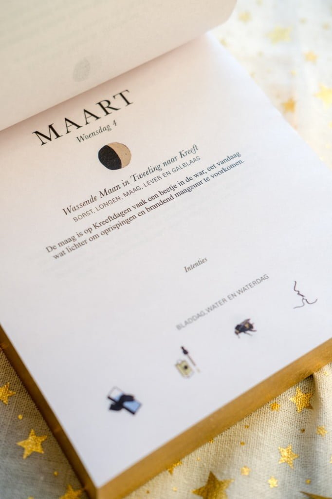 voorbeeld binnenkant moon kalender lexmond