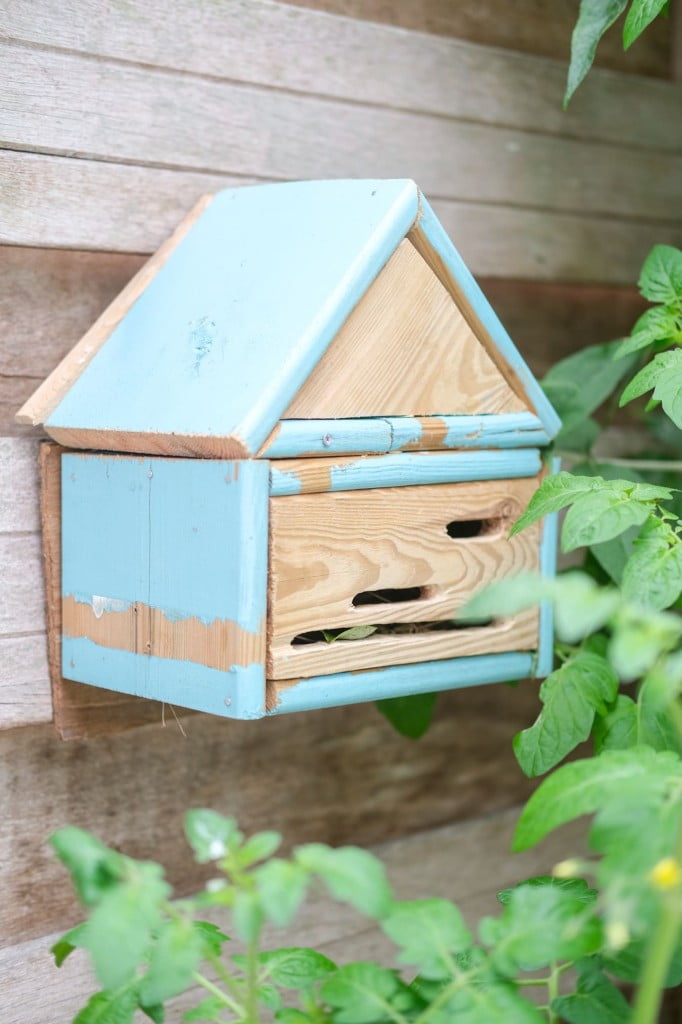 DIY hotel lieveheersbeestjes