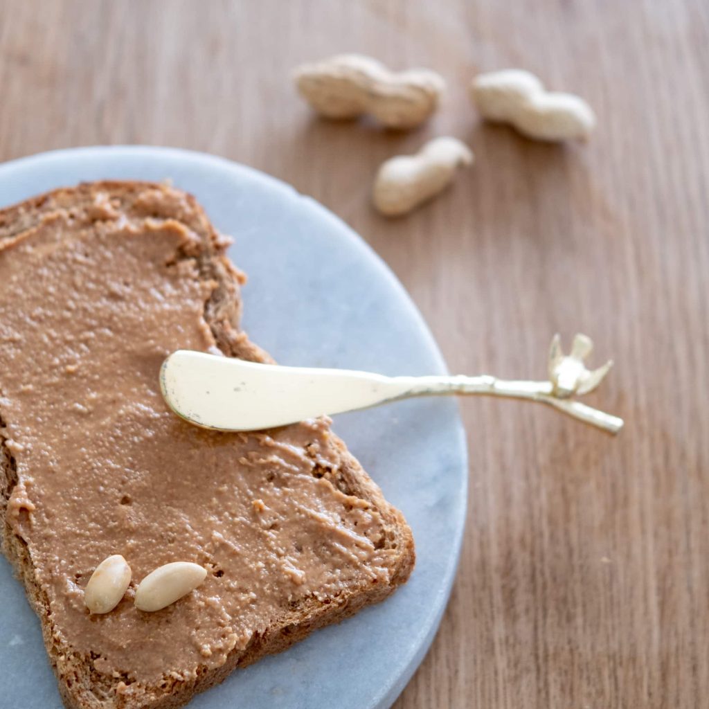 peanutbutter food processor
