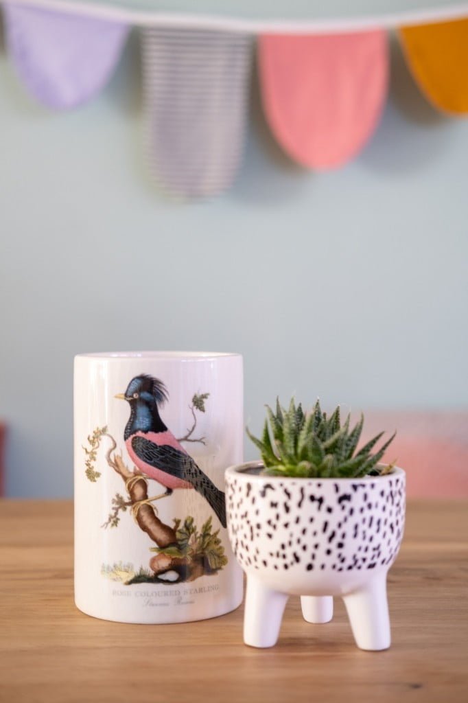 vogelvaasje kringloop