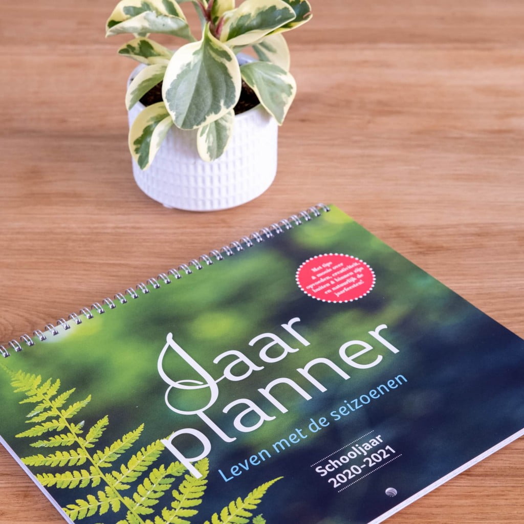 jaarplanner 2020 2021 review