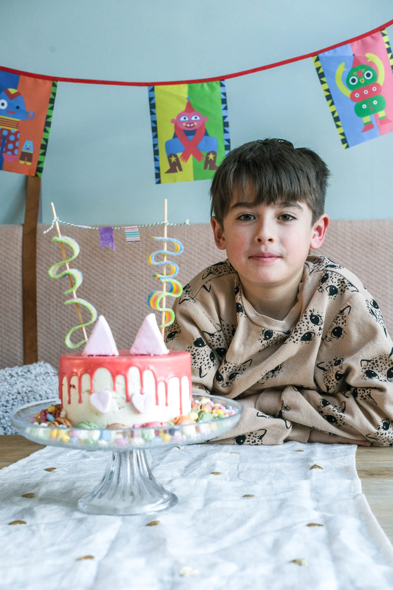 hema taart poezenthema