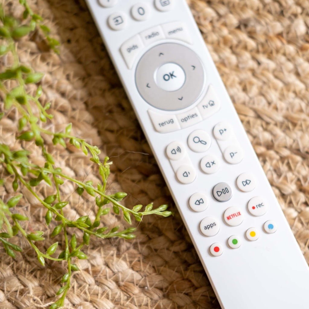 netflix docu's over duurzaam leven