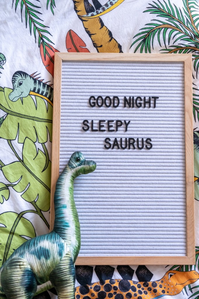 letterbord quotes dino kamer