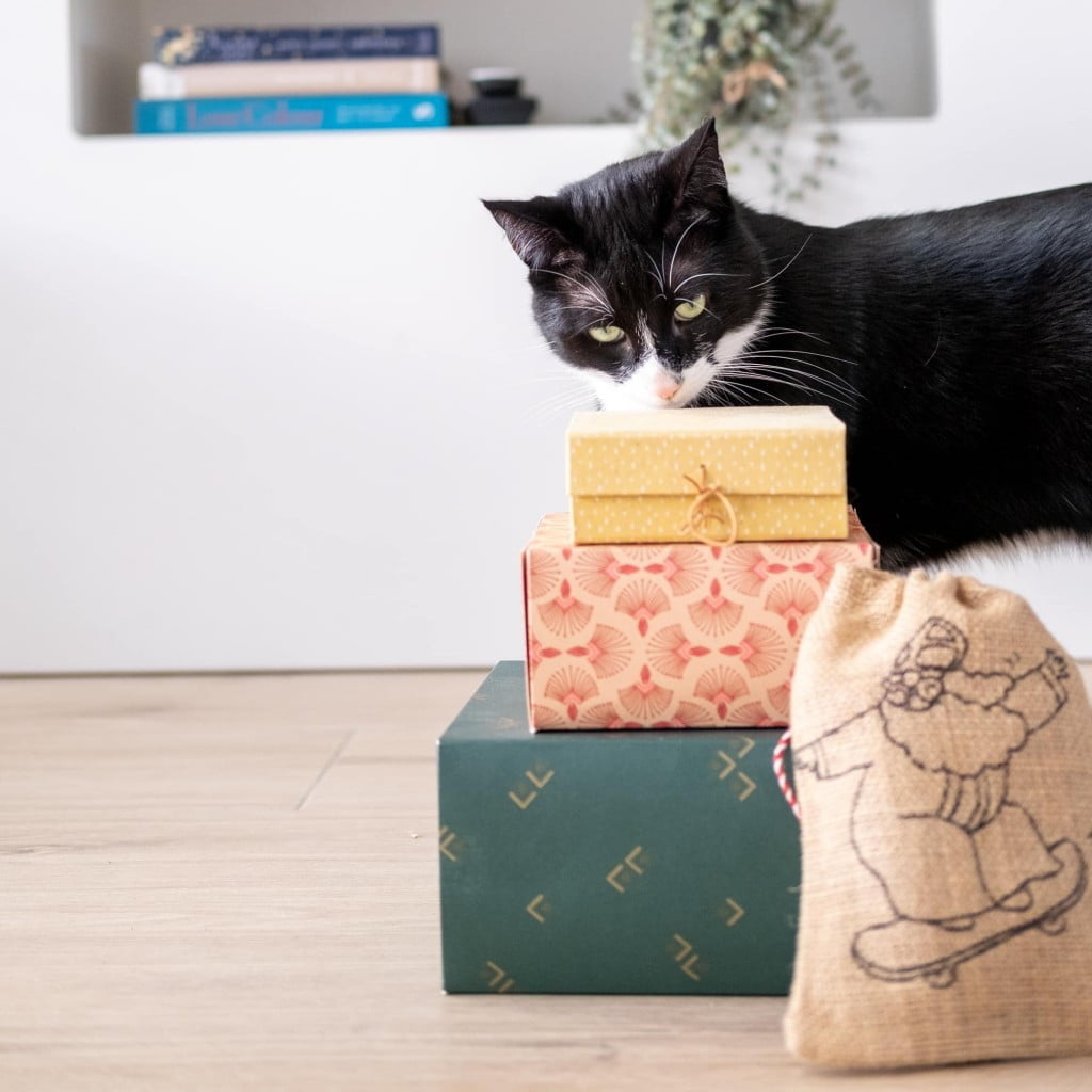sinterklaas cadeaus voor de kat tips