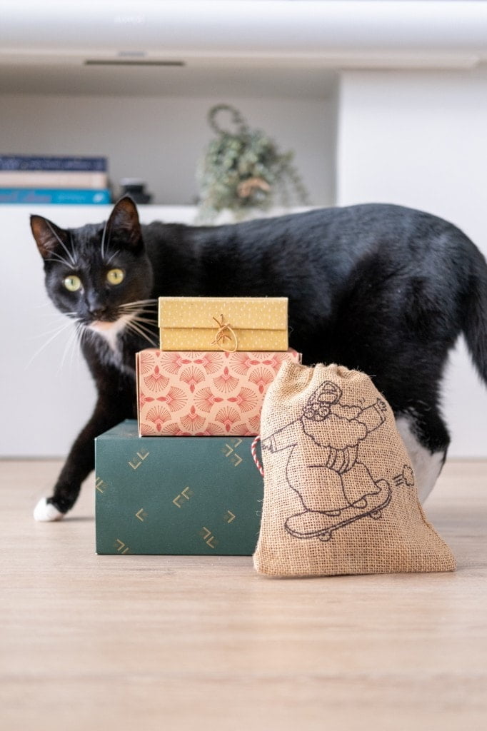 cadeautips katten