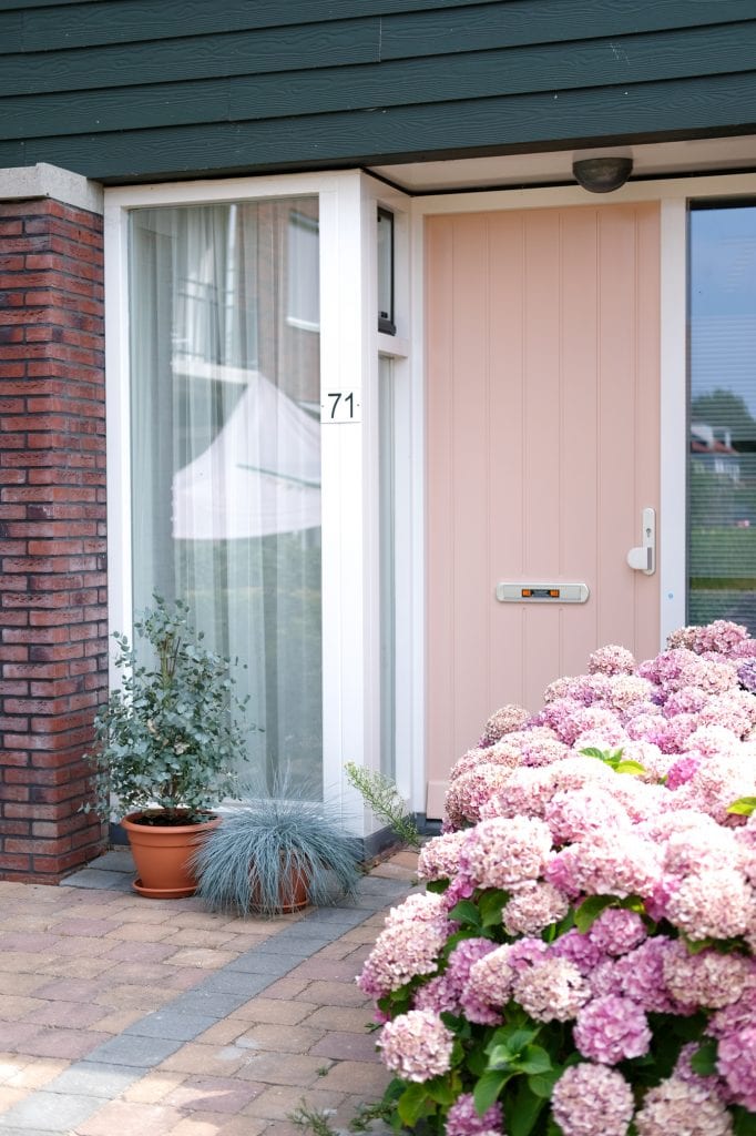populaire planten in de tuin