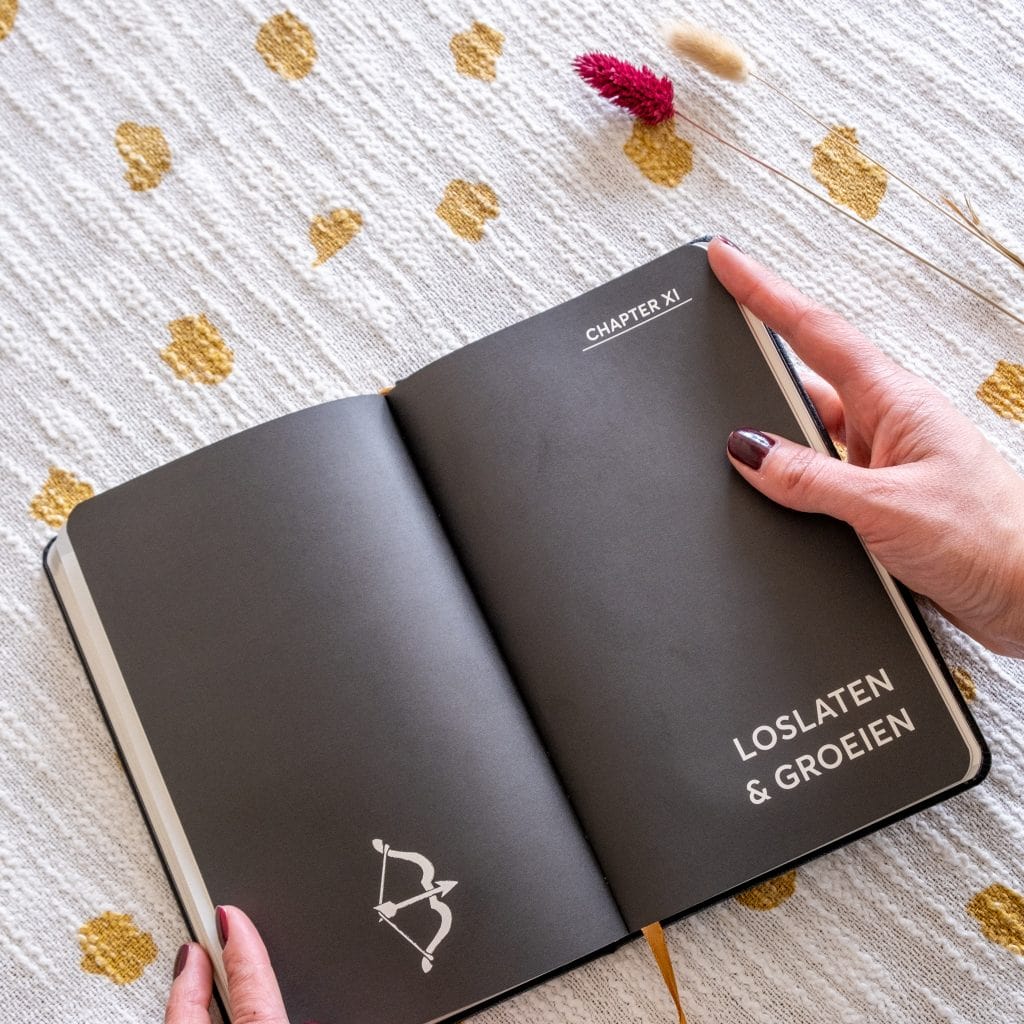 dankbaarheidsdagboek bijhouden vertellis chapters