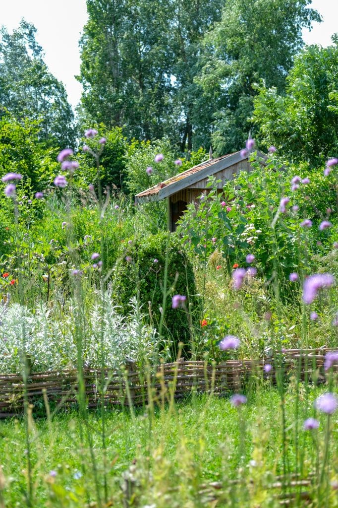 biodiversiteit vergroten tuin