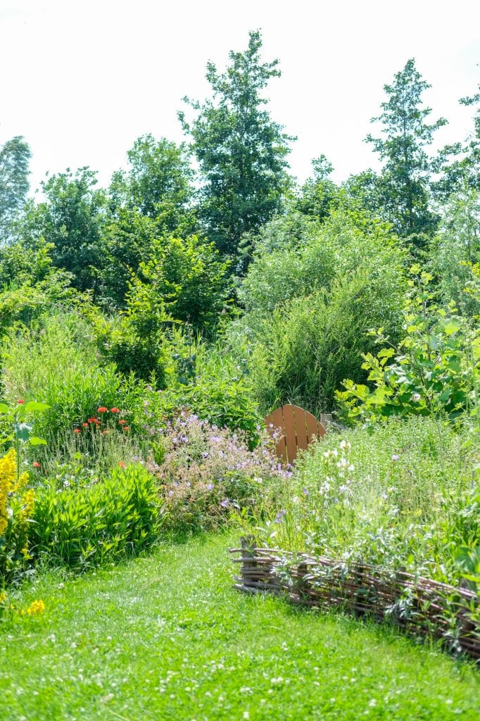 meer biodiversiteit in de tuin tips