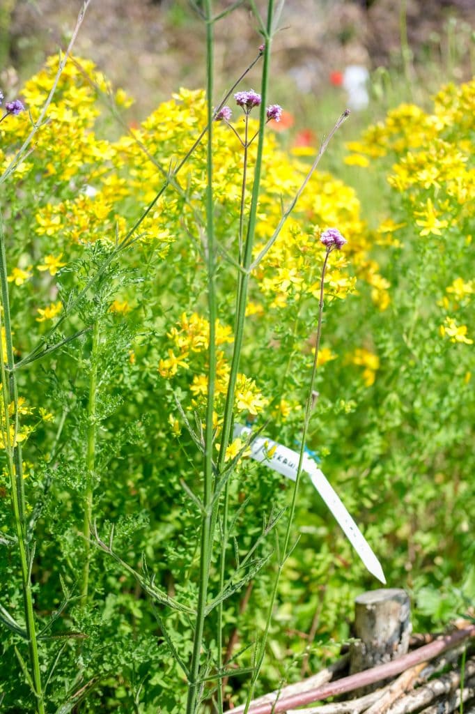 ecologisch tuinieren