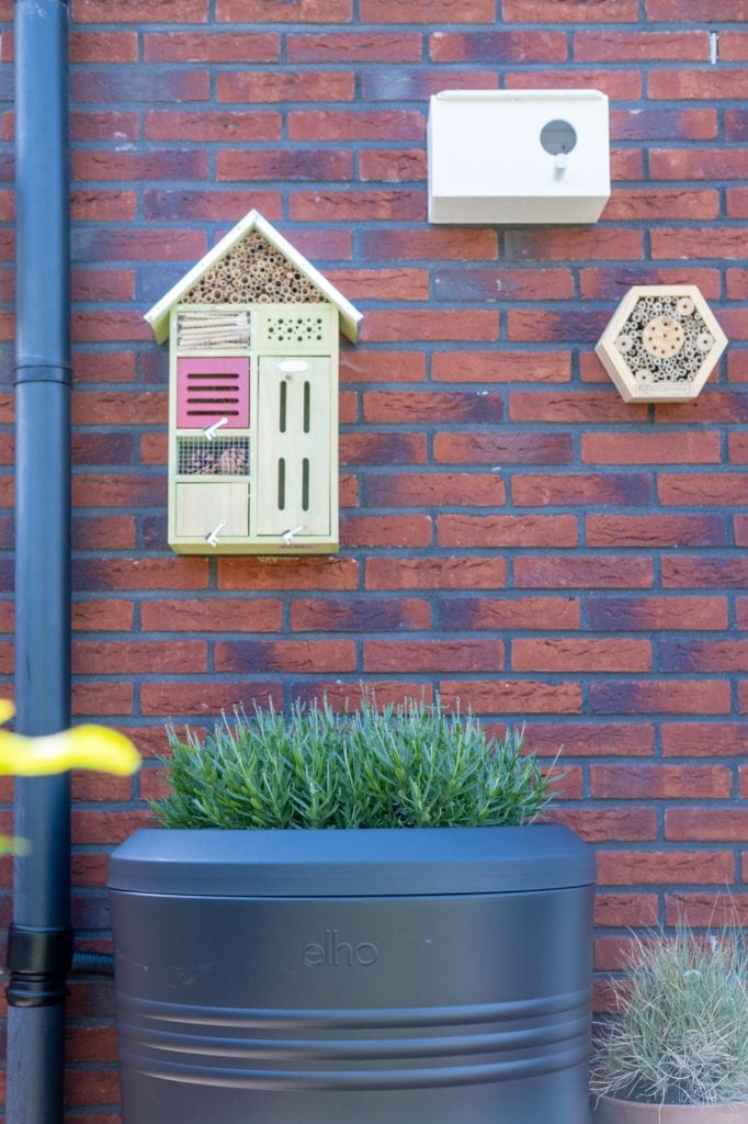 planten in deksel regenton