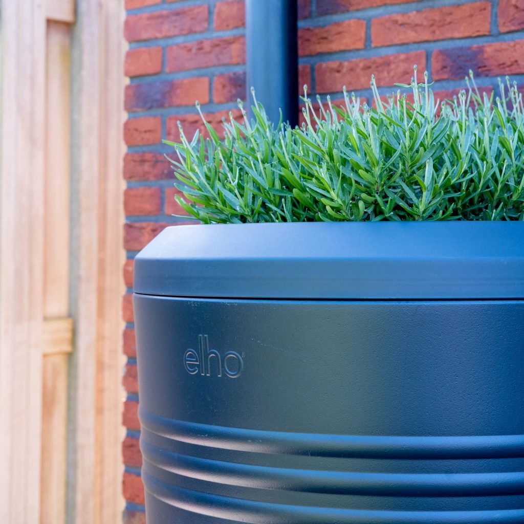 geschikte planten in de elho regenton met plantenbak