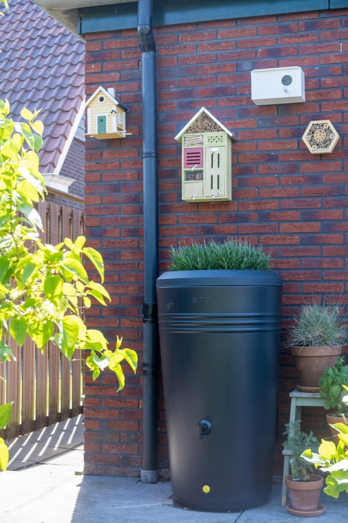 vogelhuisjes in een vogelvriendelijke tuin maken