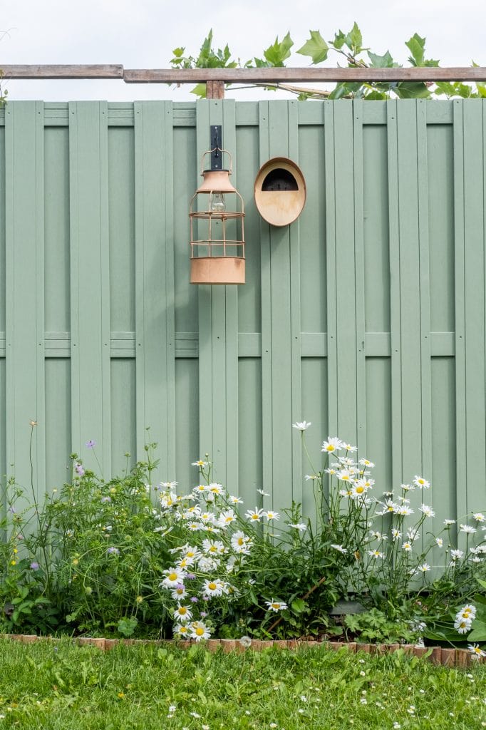vogels in de tuin lokken tips