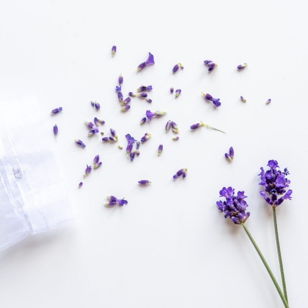 lavendel gebruiken tips