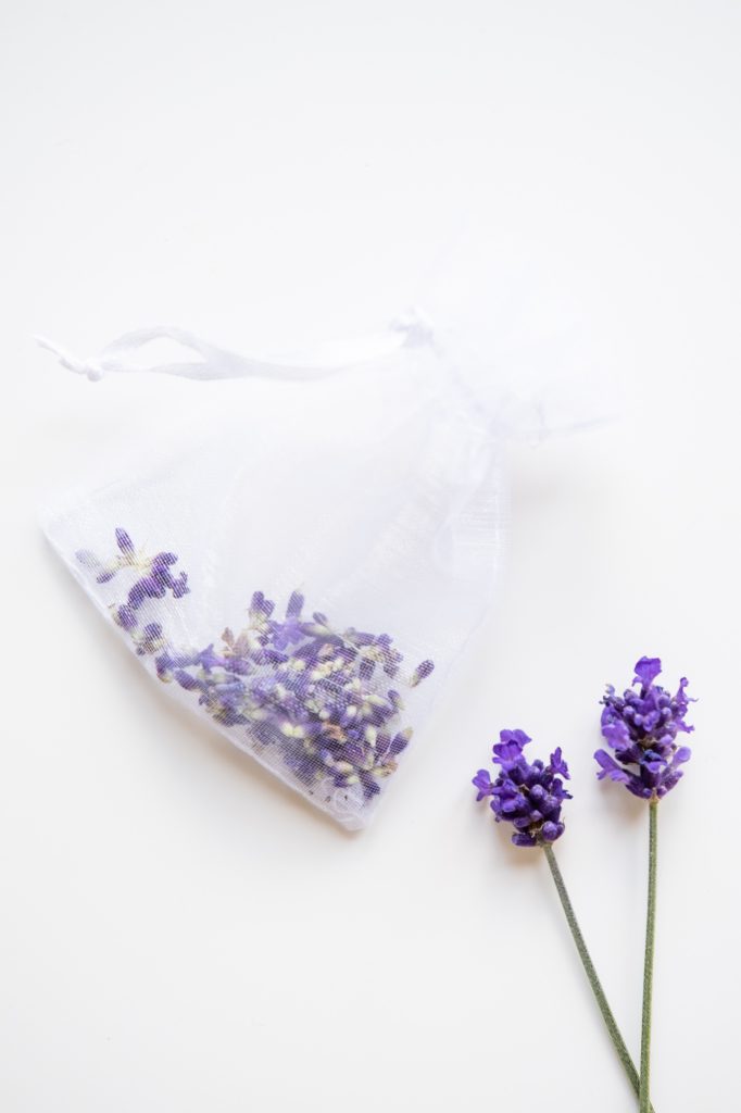 lavendel DIY