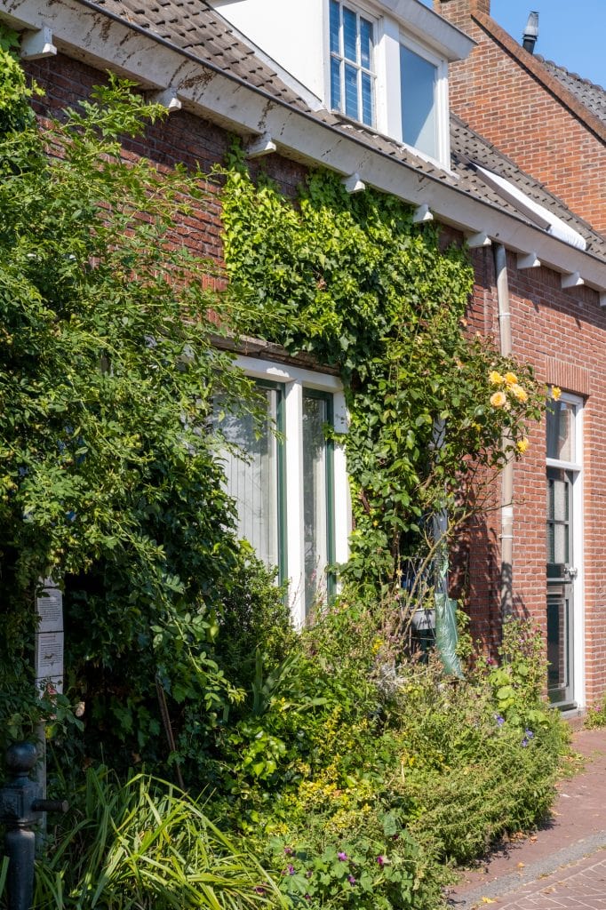 geveltuintje in amsterdam