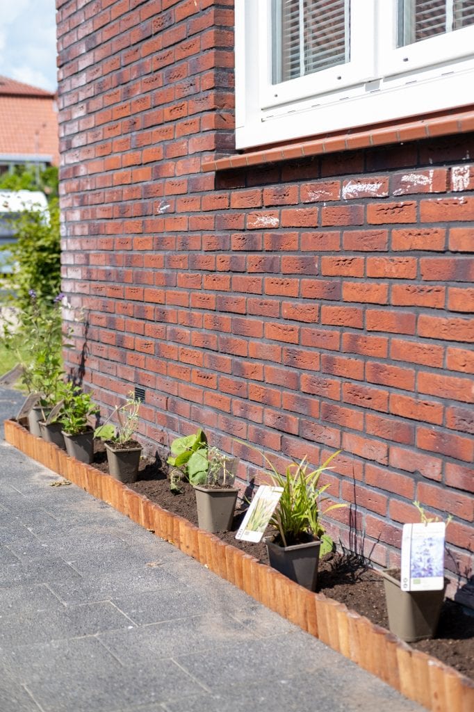 geveltuin planten voorbeelden