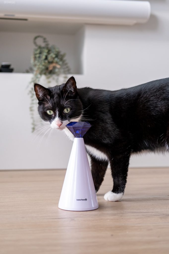 kattenspeelgoed voor jagende katten