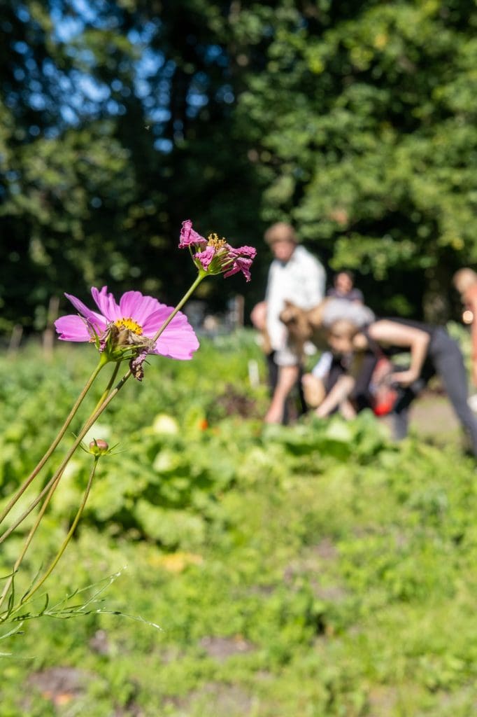 workshop biodynamisch koken