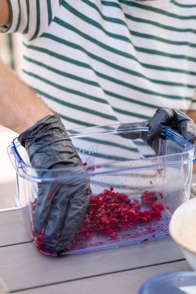 biologische groente fermenteren