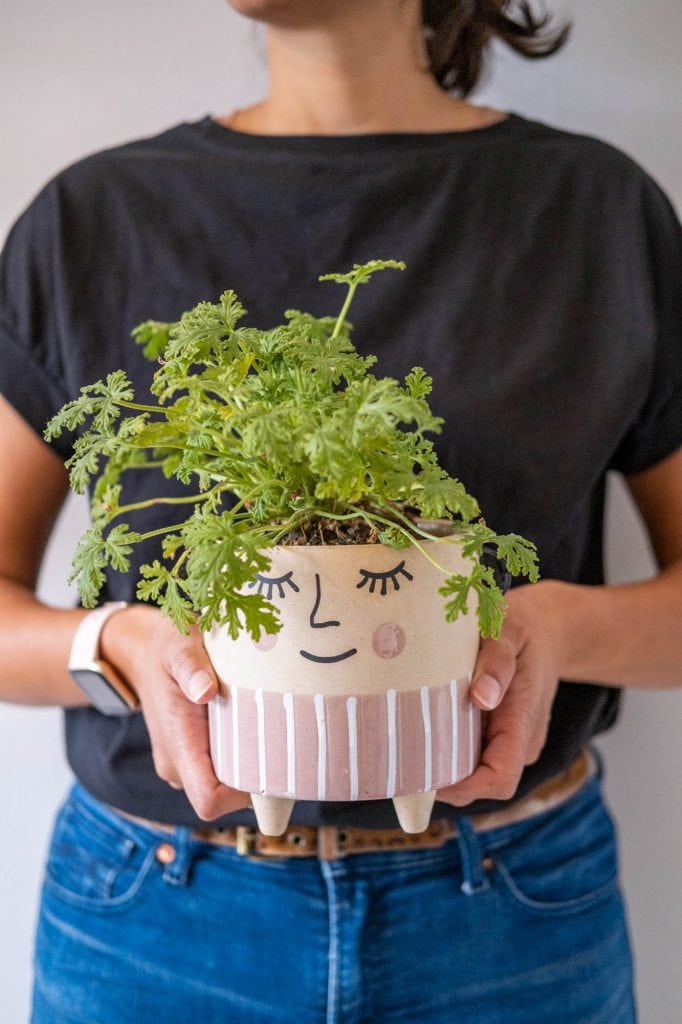 planten cadeau geven