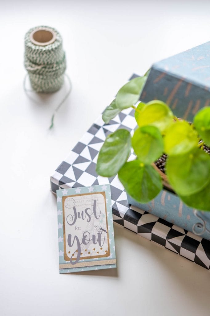 plant brievenbus post versturen