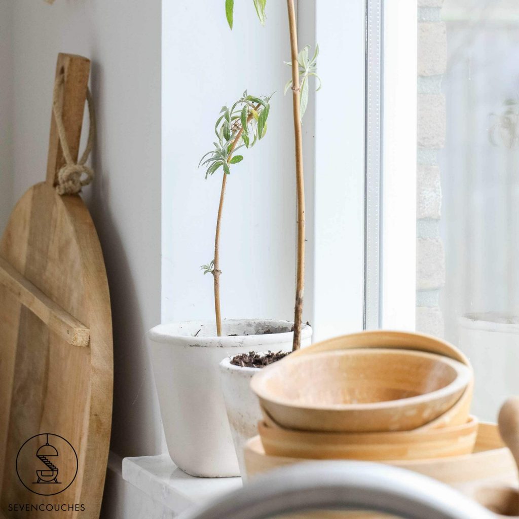 tuinplanten stekken tips