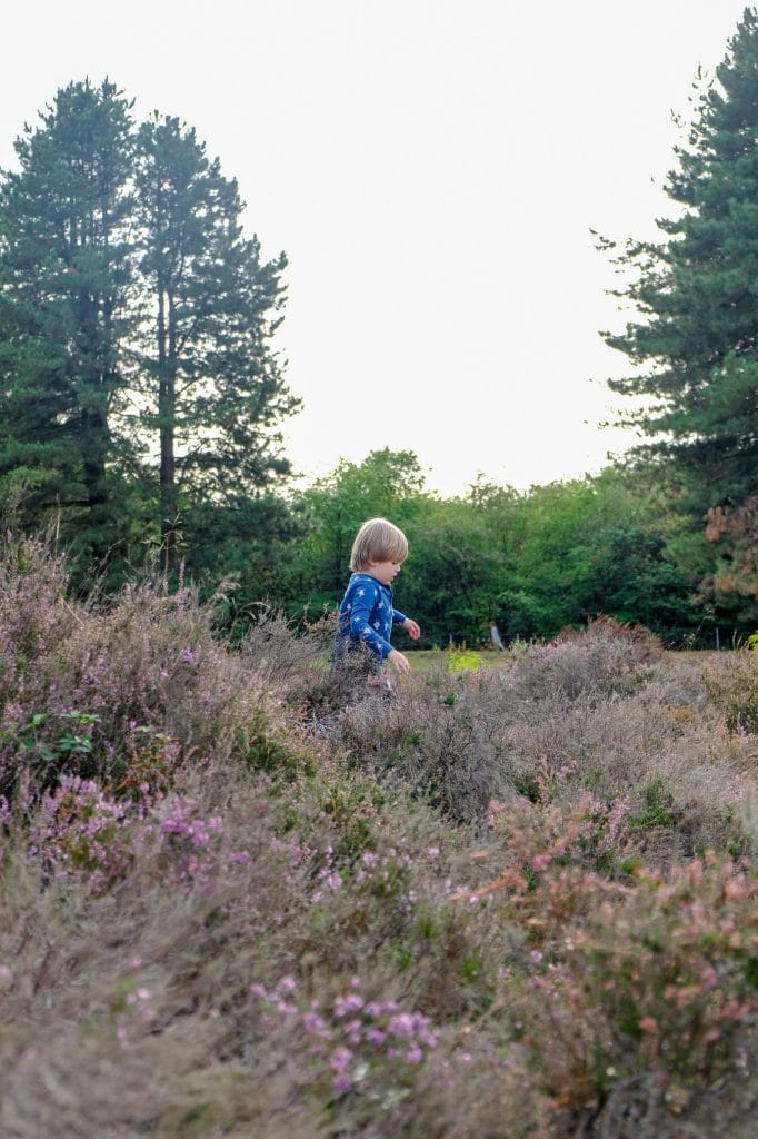 instagram proof locaties