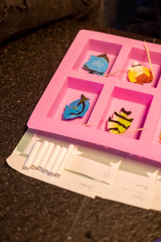 vissenzeepjes maken partijtje