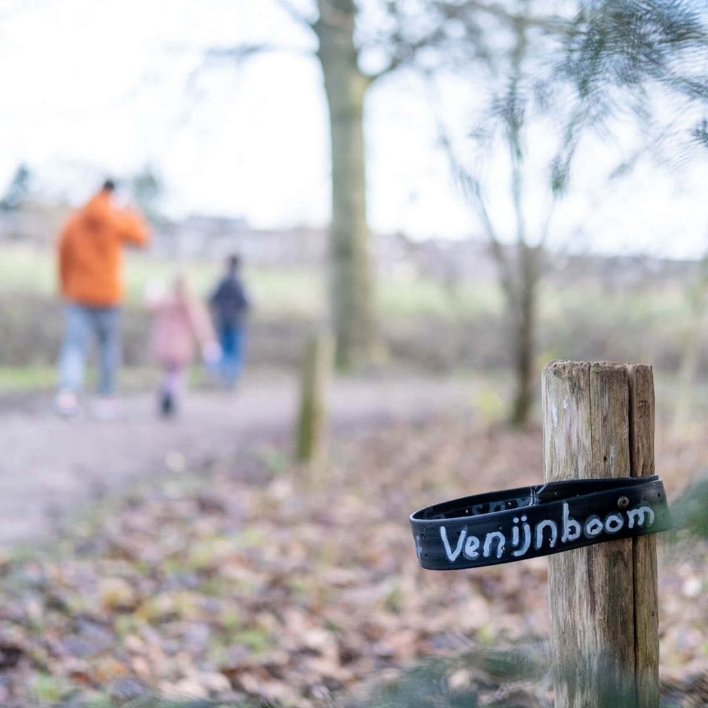 world tree day activiteiten