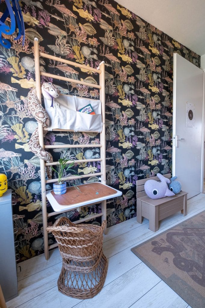 vissenbehang micheal kwantum