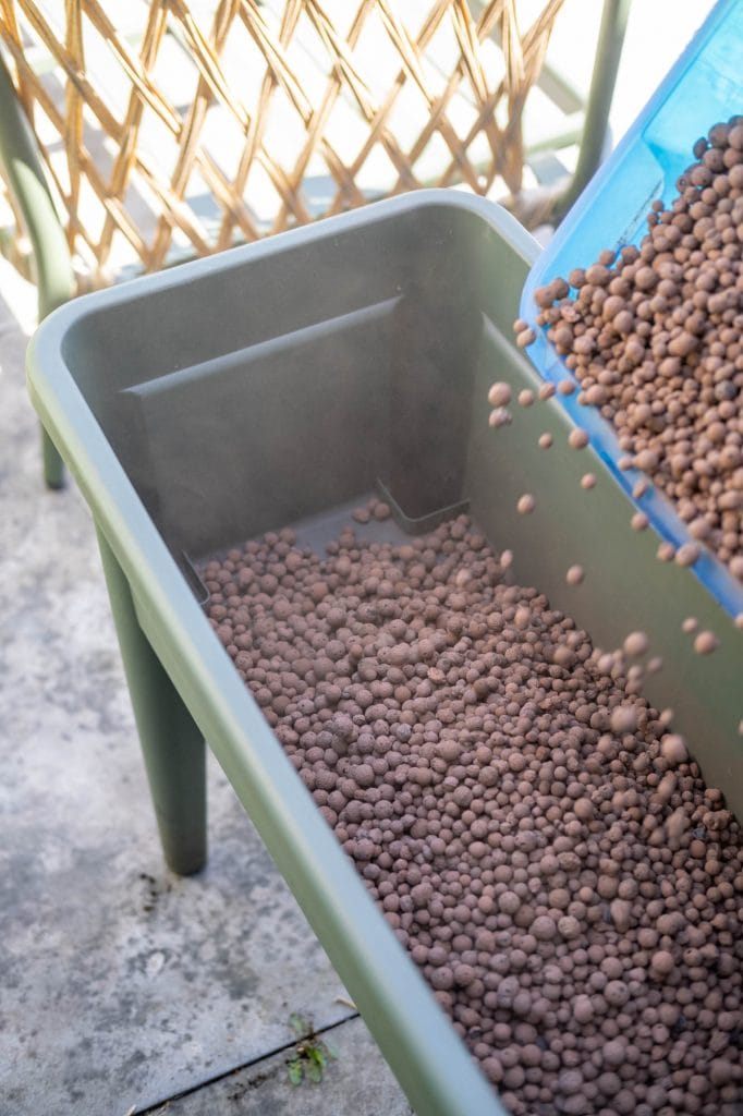 hydrokorrels in elho kweekbak