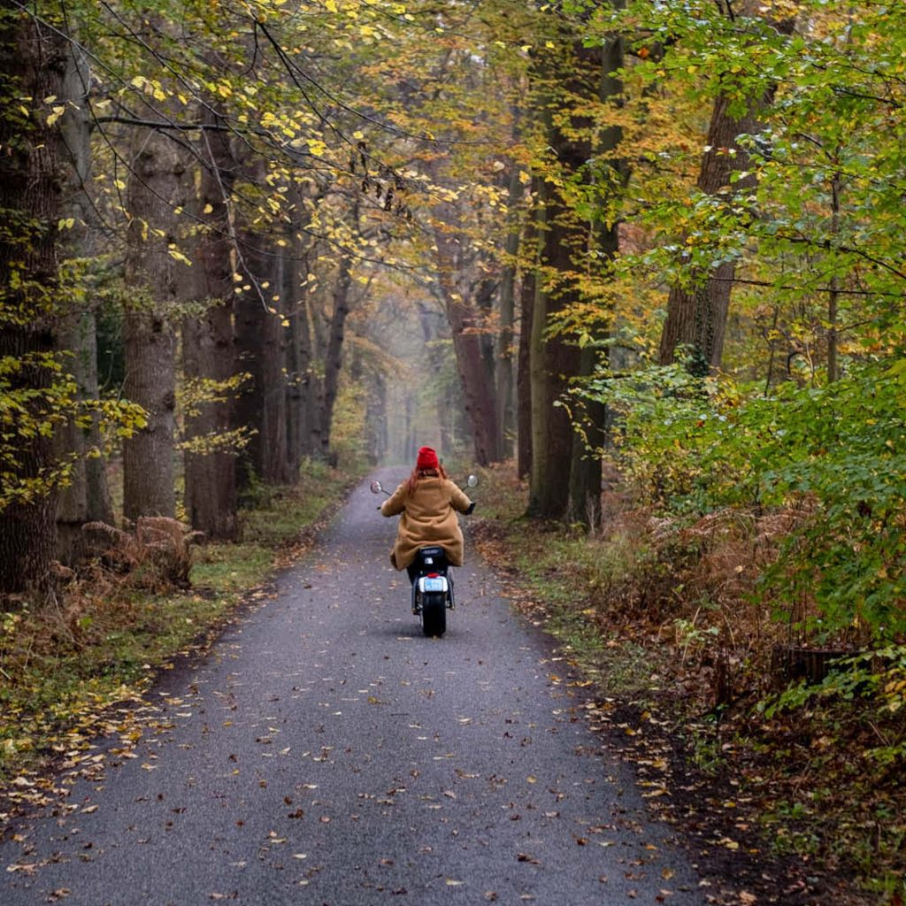 alternatieven voor een vliegvakantie