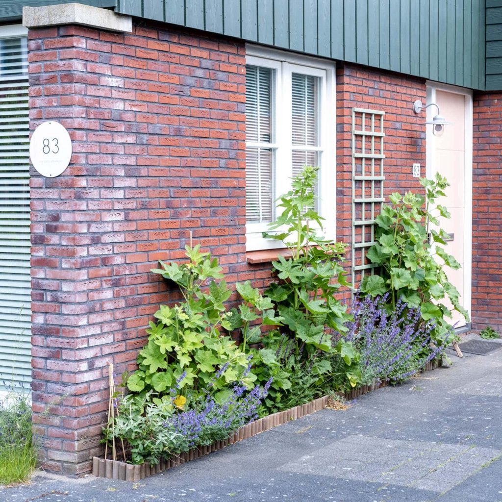 biologische geveltuin aanleggen